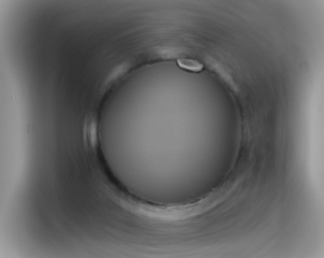 X0000115610019200911171157