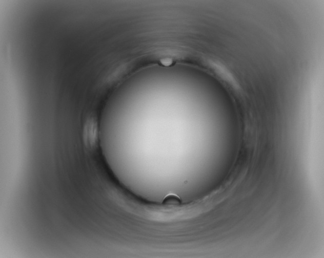 X0000115610021200911171157