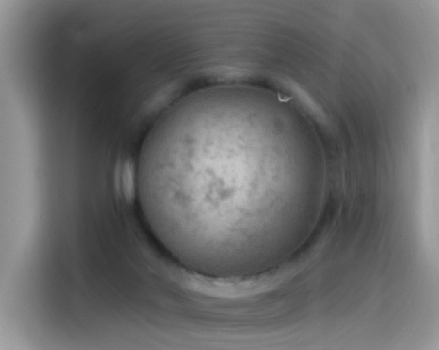 X0000115610022200911171157