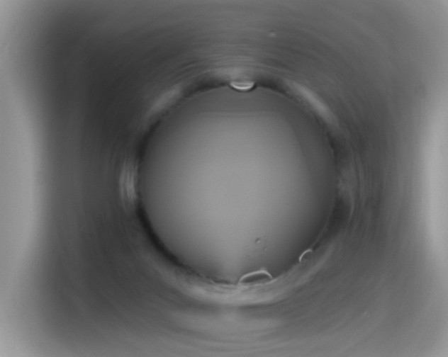 X0000115610023200911171157