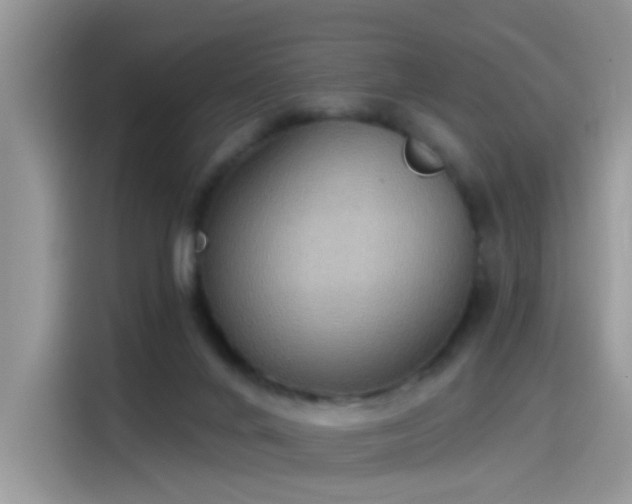X0000115610024200911171157