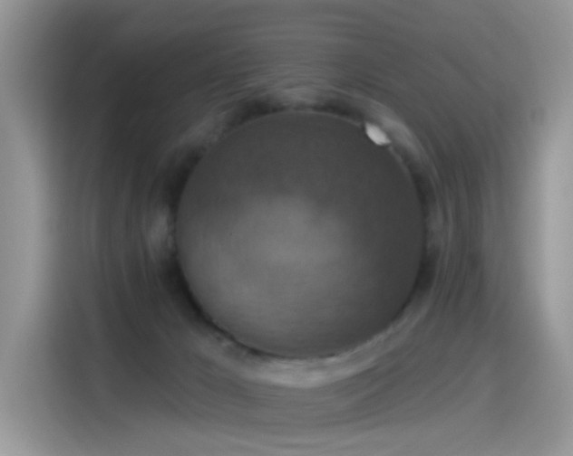 X0000115610029200911171157