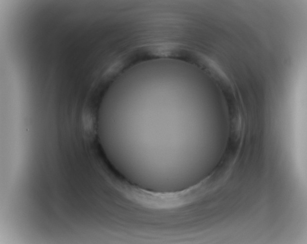 X0000115610031200911171157