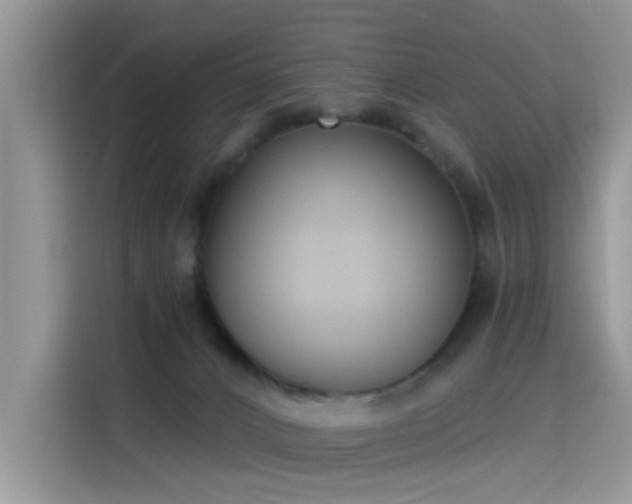 X0000115610032200911171157