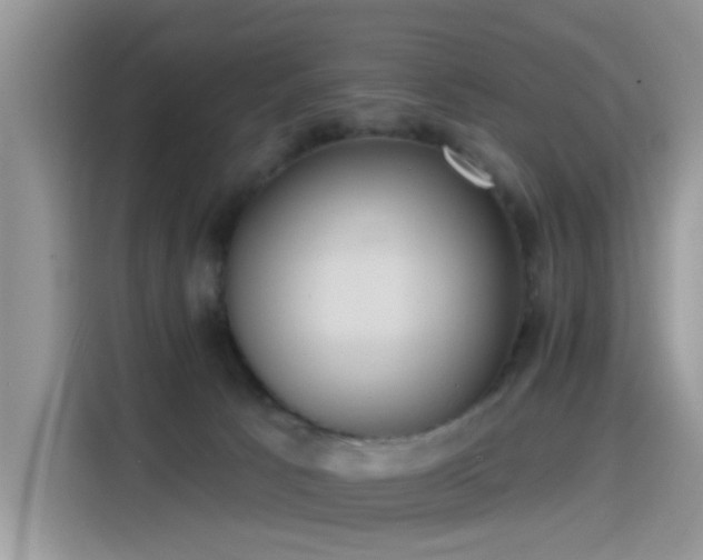 X0000115610033200911171157