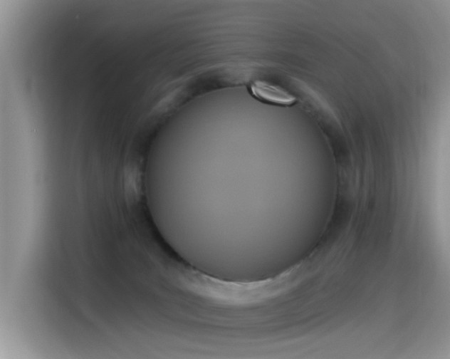 X0000115610035200911171157