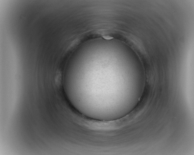 X0000115610036200911171157