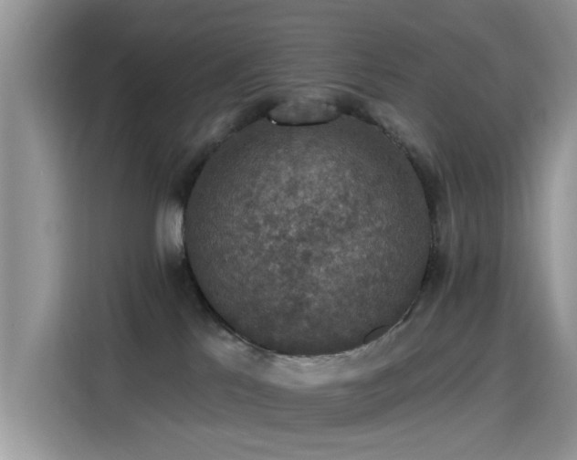 X0000115610041200911171157