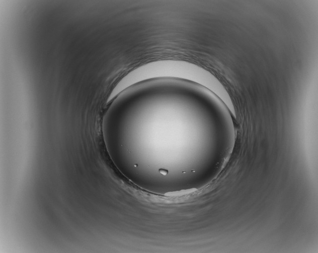 X0000115610043200911171157