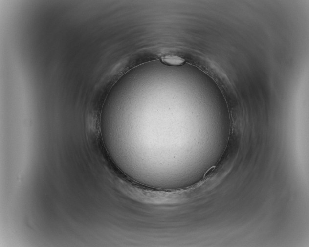 X0000115610044200911171157