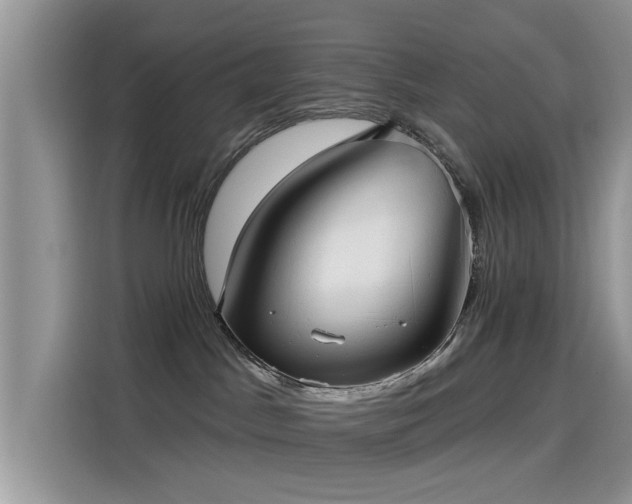 X0000115610045200911171157