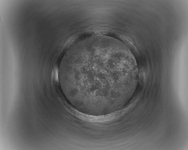 X0000115610046200911171157