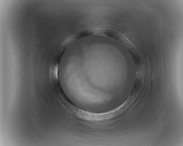 X0000115610047200911171157