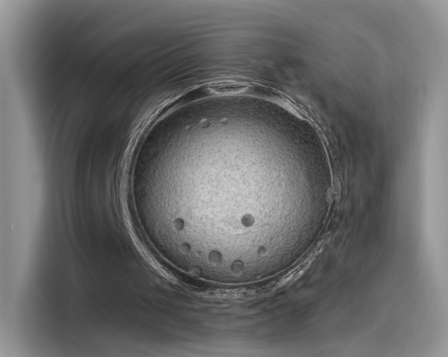 X0000115610049200911171156