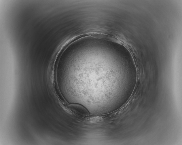 X0000115610050200911171156