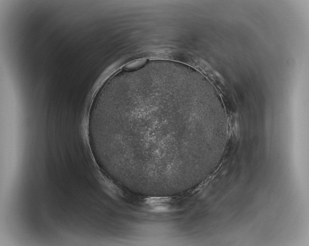 X0000115610051200911171156