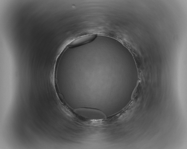 X0000115610052200911171156