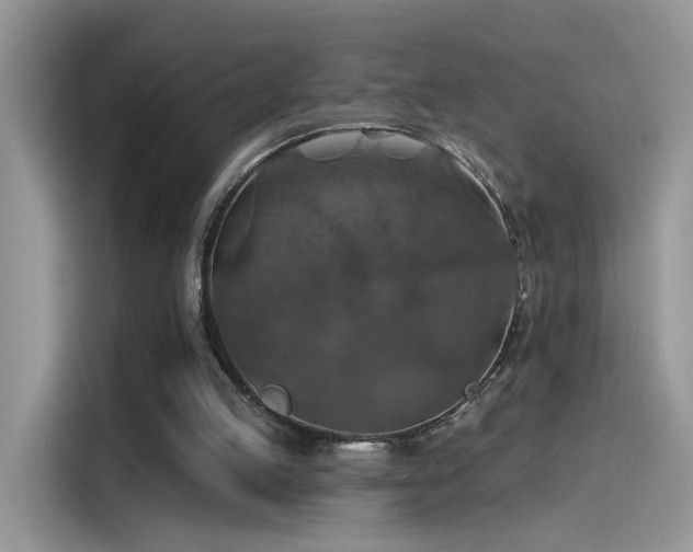 X0000115610053200911171156