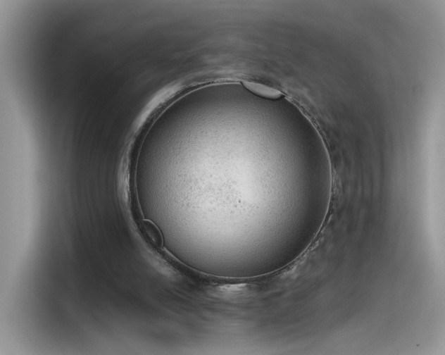 X0000115610054200911171156