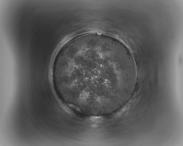 X0000115610055200911171156