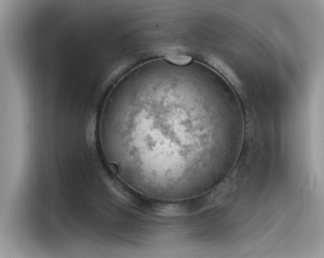 X0000115610058200911171156
