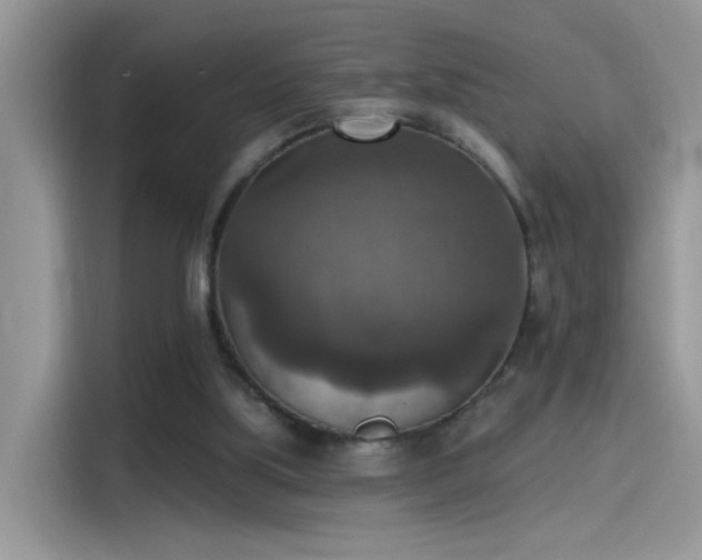 X0000115610059200911171156