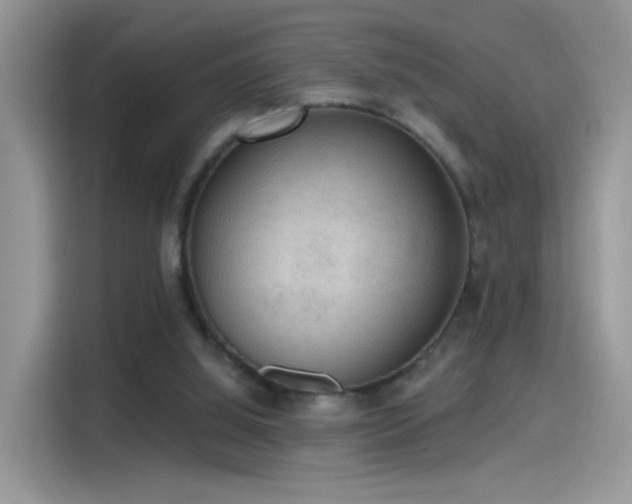 X0000115610060200911171156
