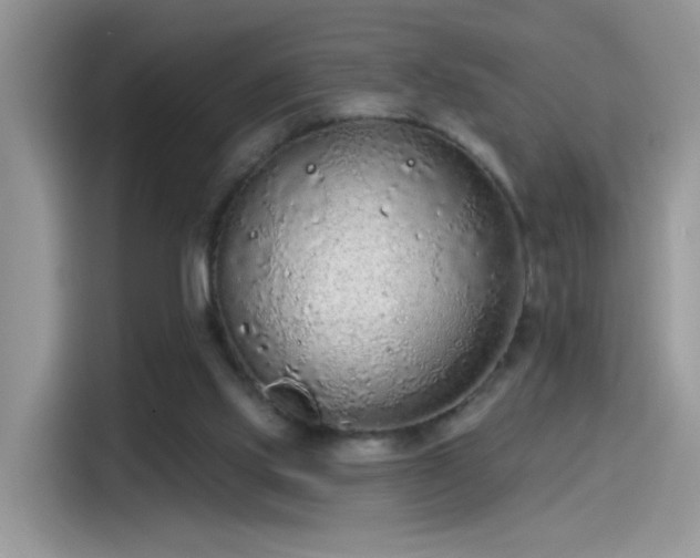 X0000115610061200911171156