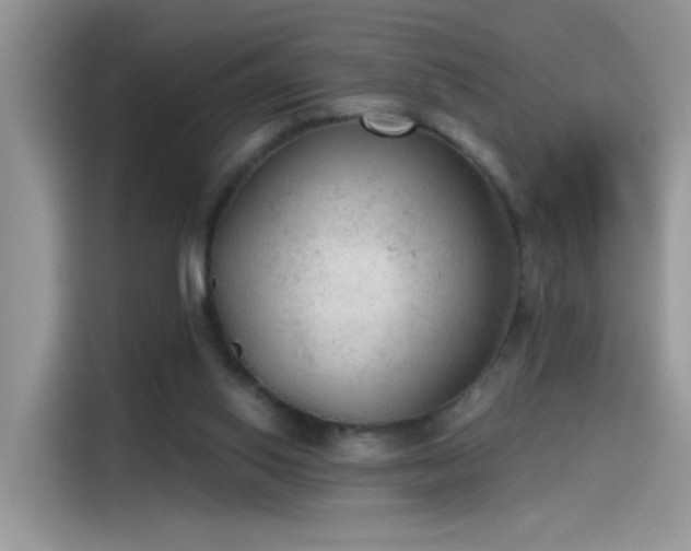 X0000115610062200911171156