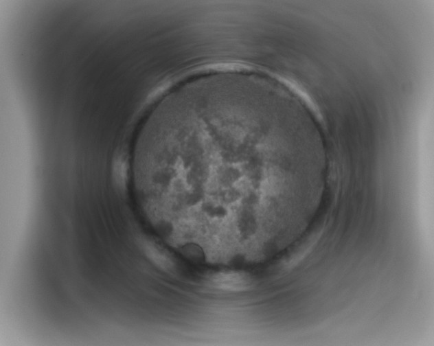 X0000115610063200911171156