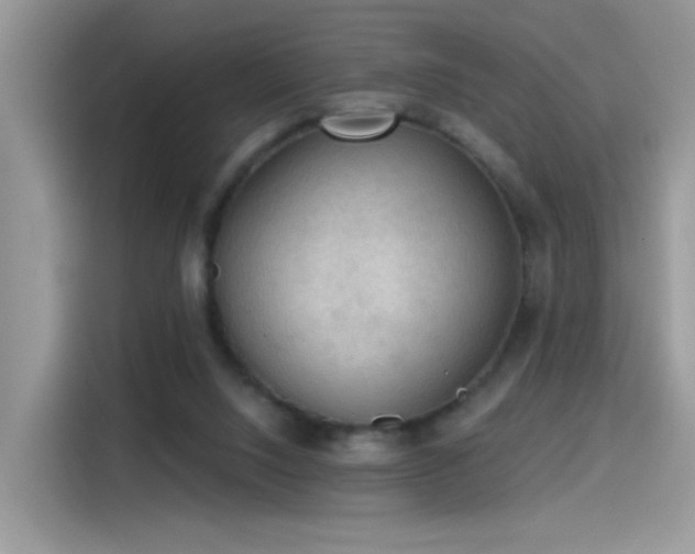 X0000115610064200911171156