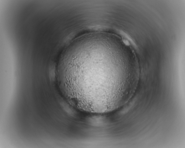 X0000115610065200911171156