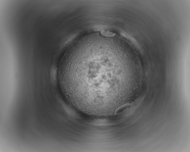 X0000115610066200911171156