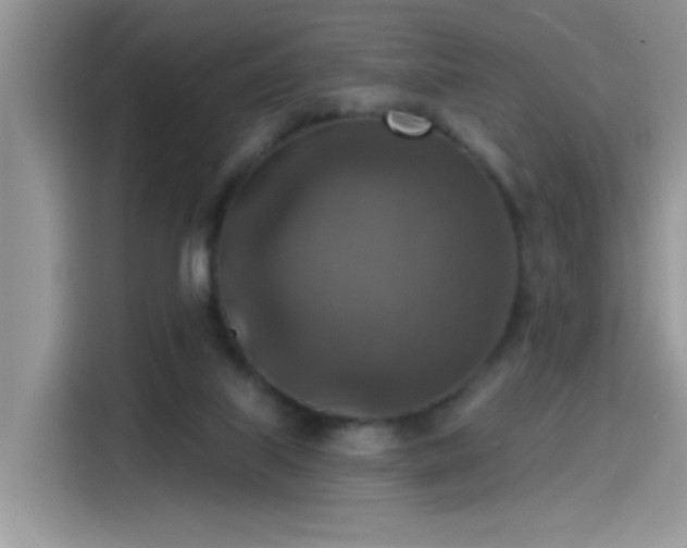 X0000115610067200911171156