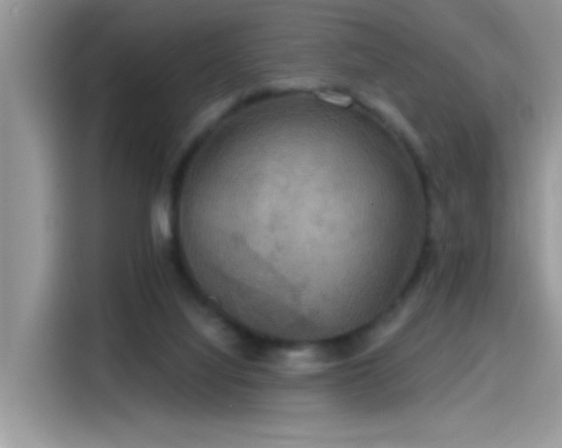 X0000115610068200911171156
