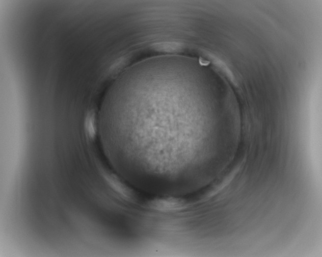 X0000115610069200911171156