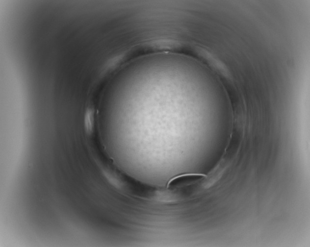 X0000115610070200911171156