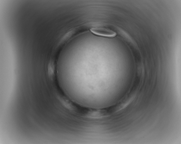 X0000115610072200911171156