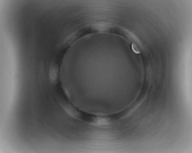 X0000115610073200911171156