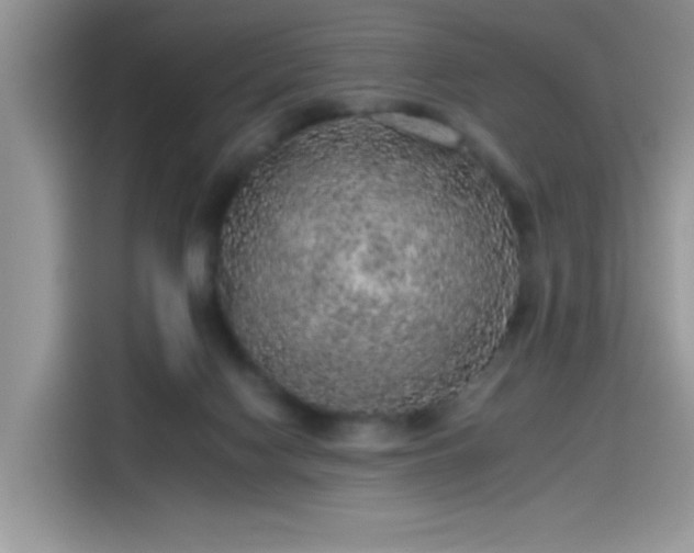 X0000115610074200911171156
