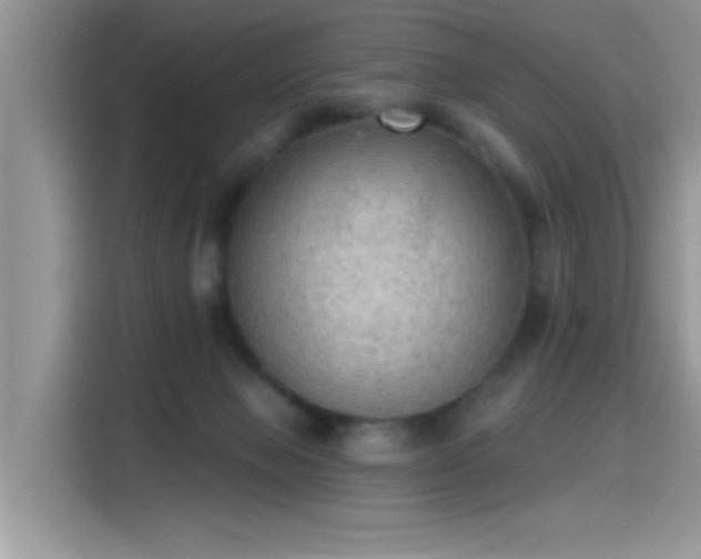 X0000115610077200911171156