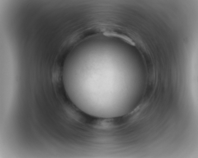 X0000115610078200911171156