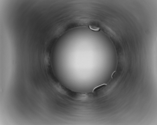 X0000115610083200911171157