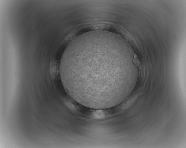 X0000115610091200911171157