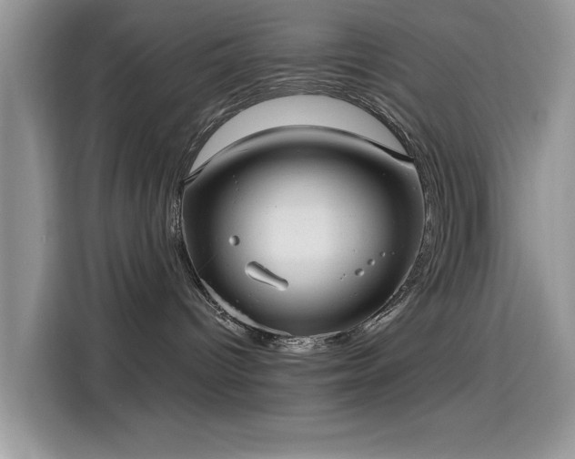 X0000115610096200911171157