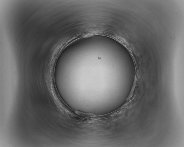 X0000115610097200911171156