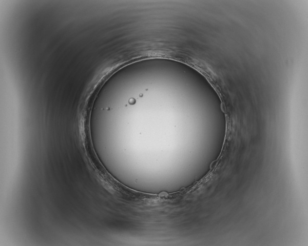 X0000115610098200911171156
