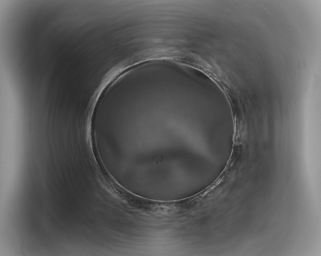 X0000115610099200911171156