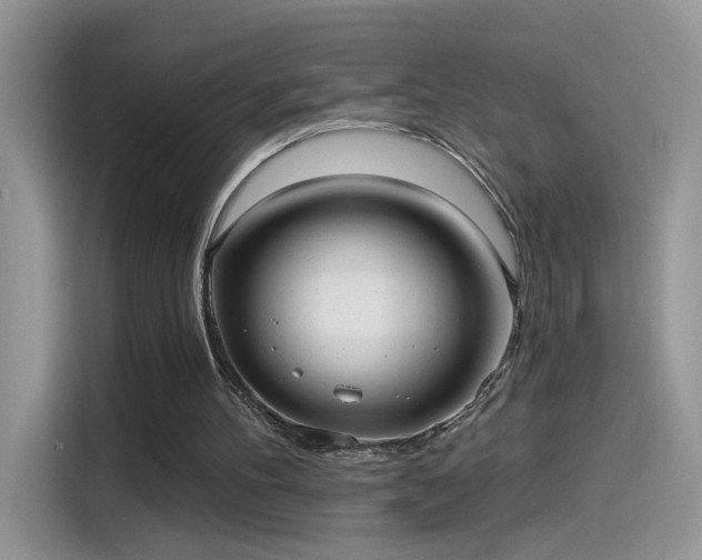 X0000115610100200911171156