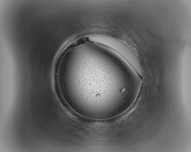 X0000115610101200911171156